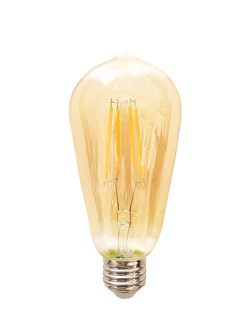 LED Filament Edison Bulb (Base E-26 / 4W, 6W)